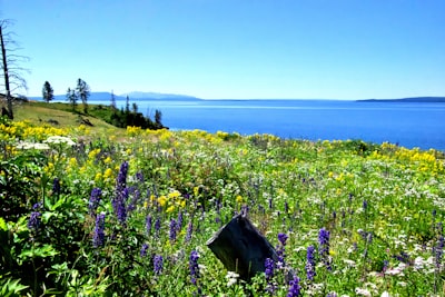 picture of Outdoor Activities in Yellowstone Lake, United States