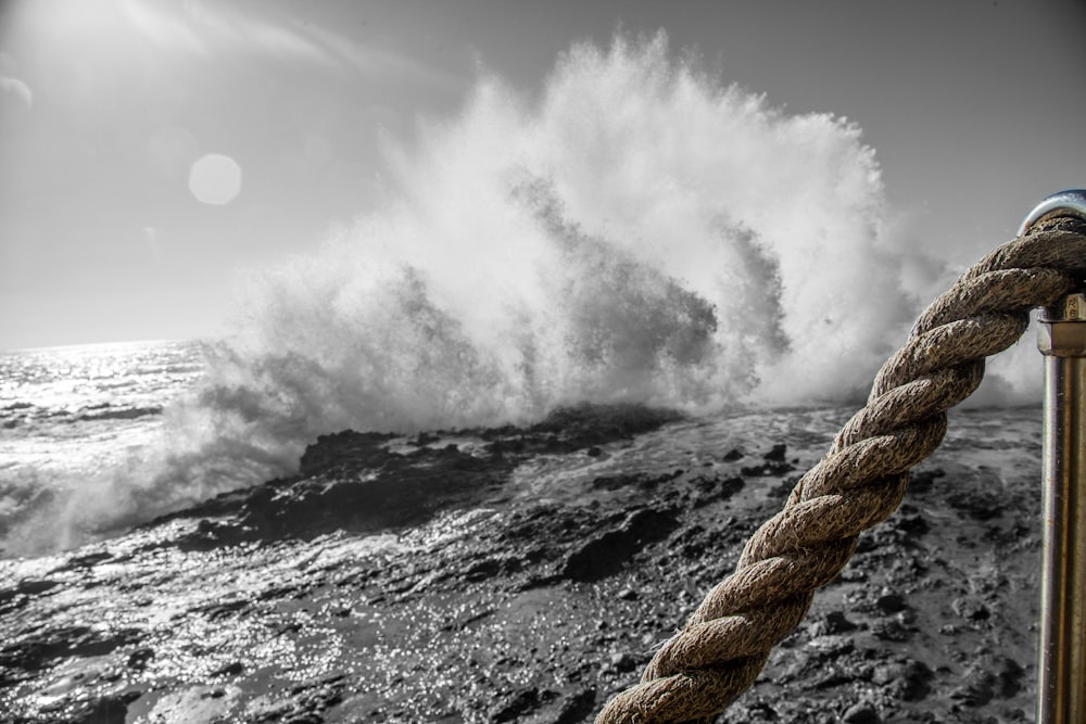 brown rope on body of water