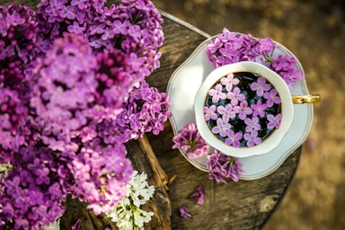 golden ratio for photo composition,how to photograph pink flowers on white ceramic bowl