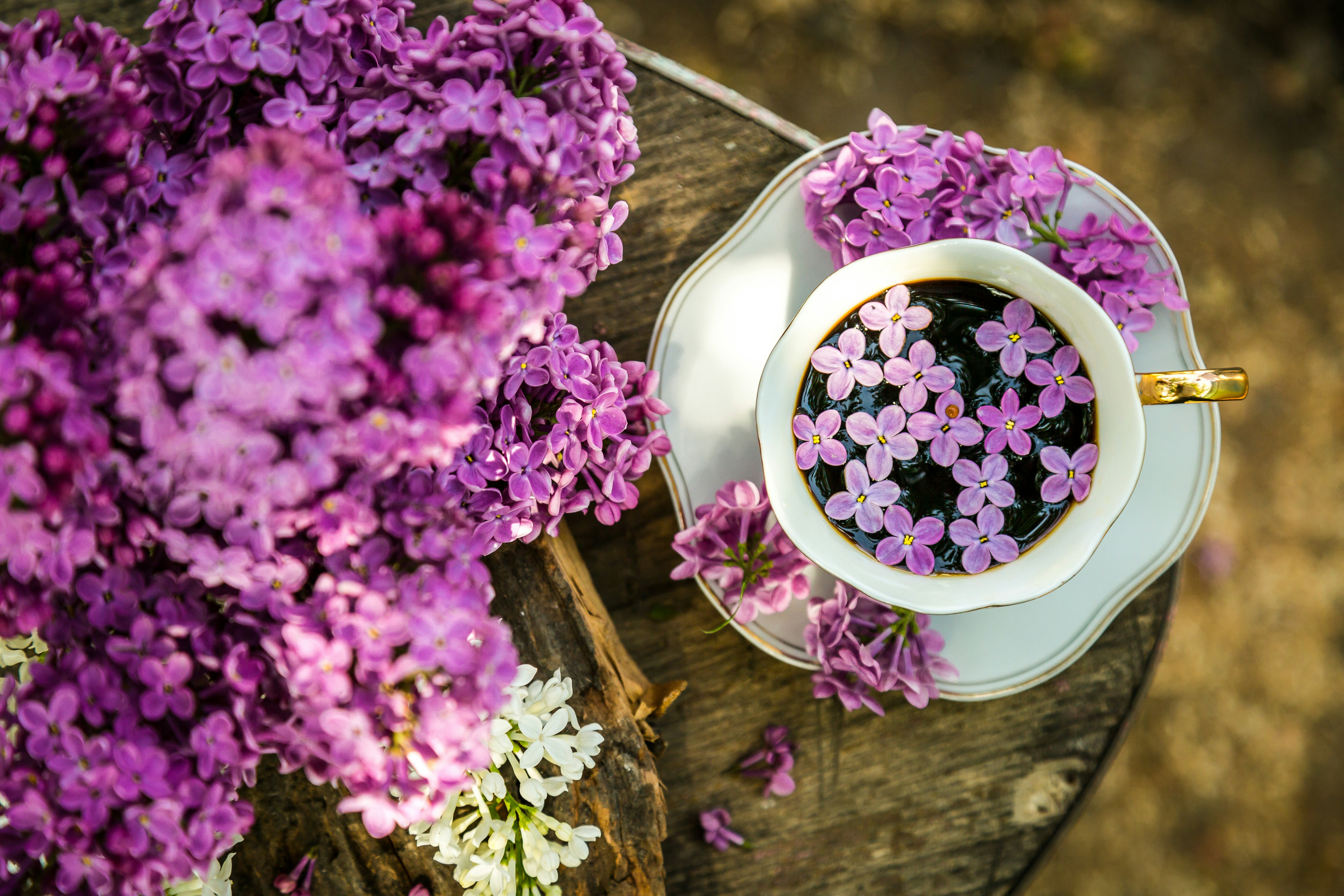 great photo recipe,how to photograph pink flowers on white ceramic bowl