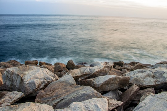 brown and gray rocks near body of water during daytime in Kollam India