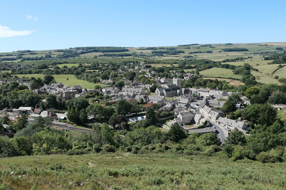 Grünes Grasfeld und Bäume tagsüber