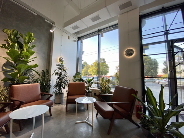 Cozy seating area with plush chairs and natural light in premium room.