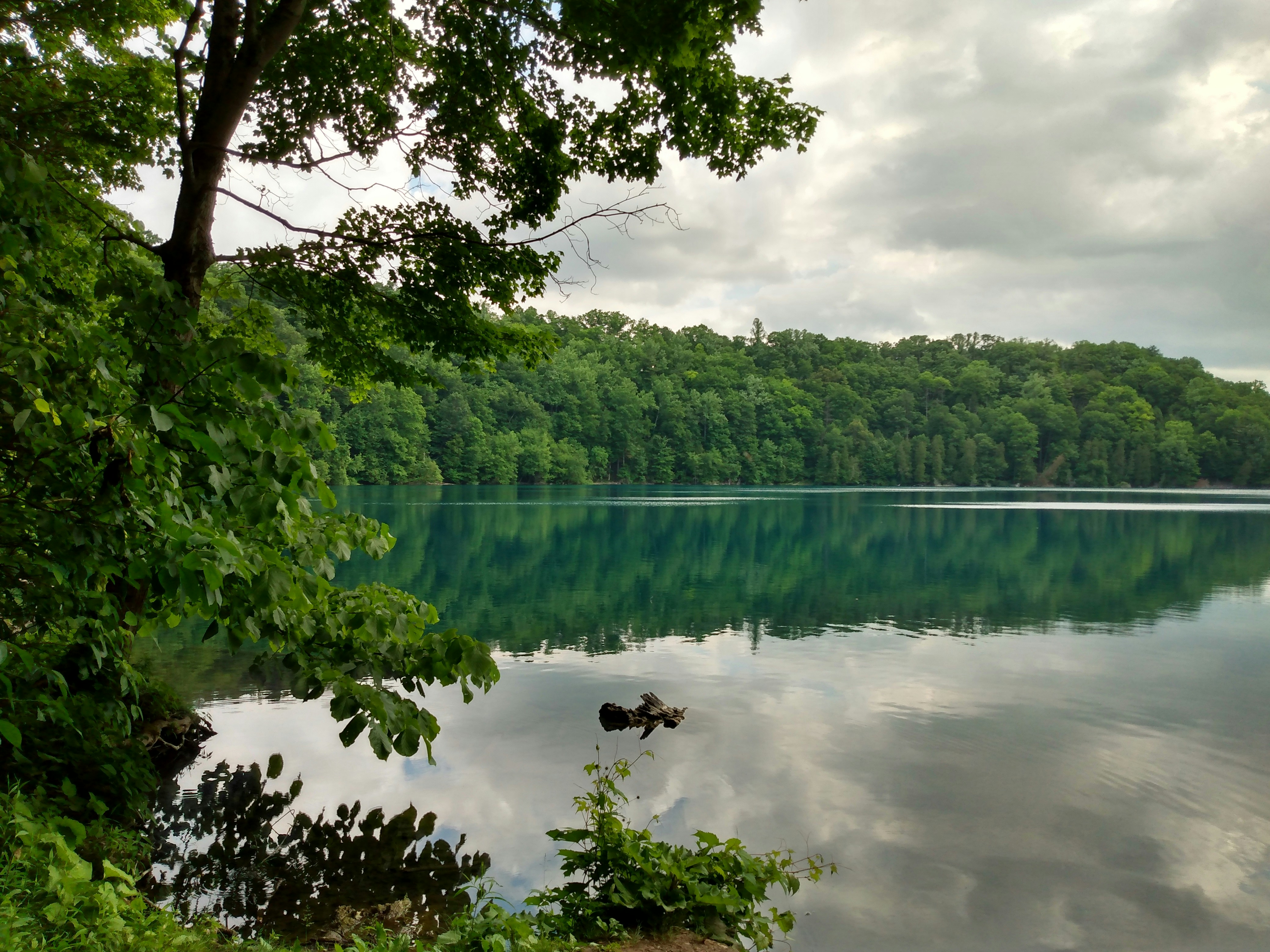 Photo by verinawaldner