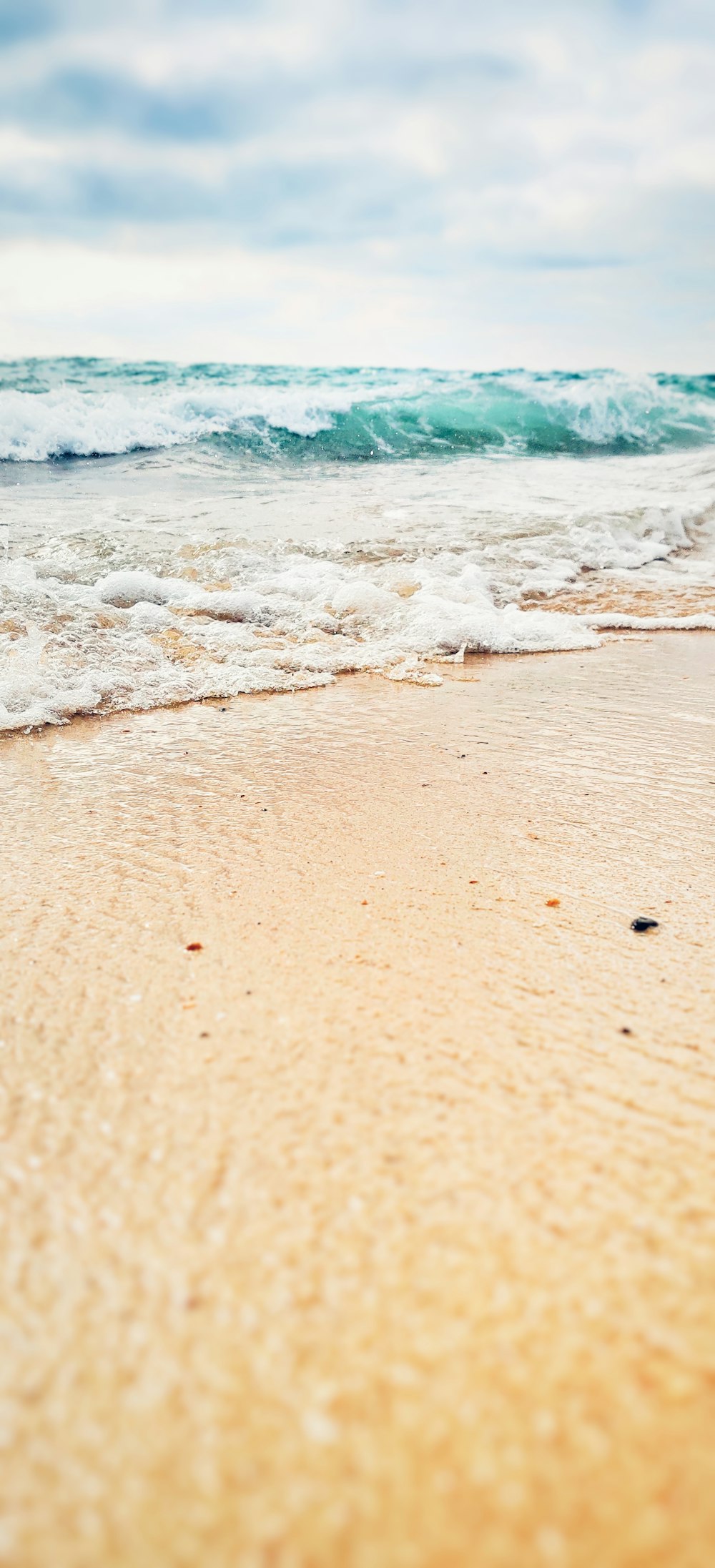 Les vagues de la mer s’écrasent sur le rivage pendant la journée