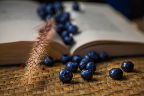 Boekweitpap met Blauwe Bessen