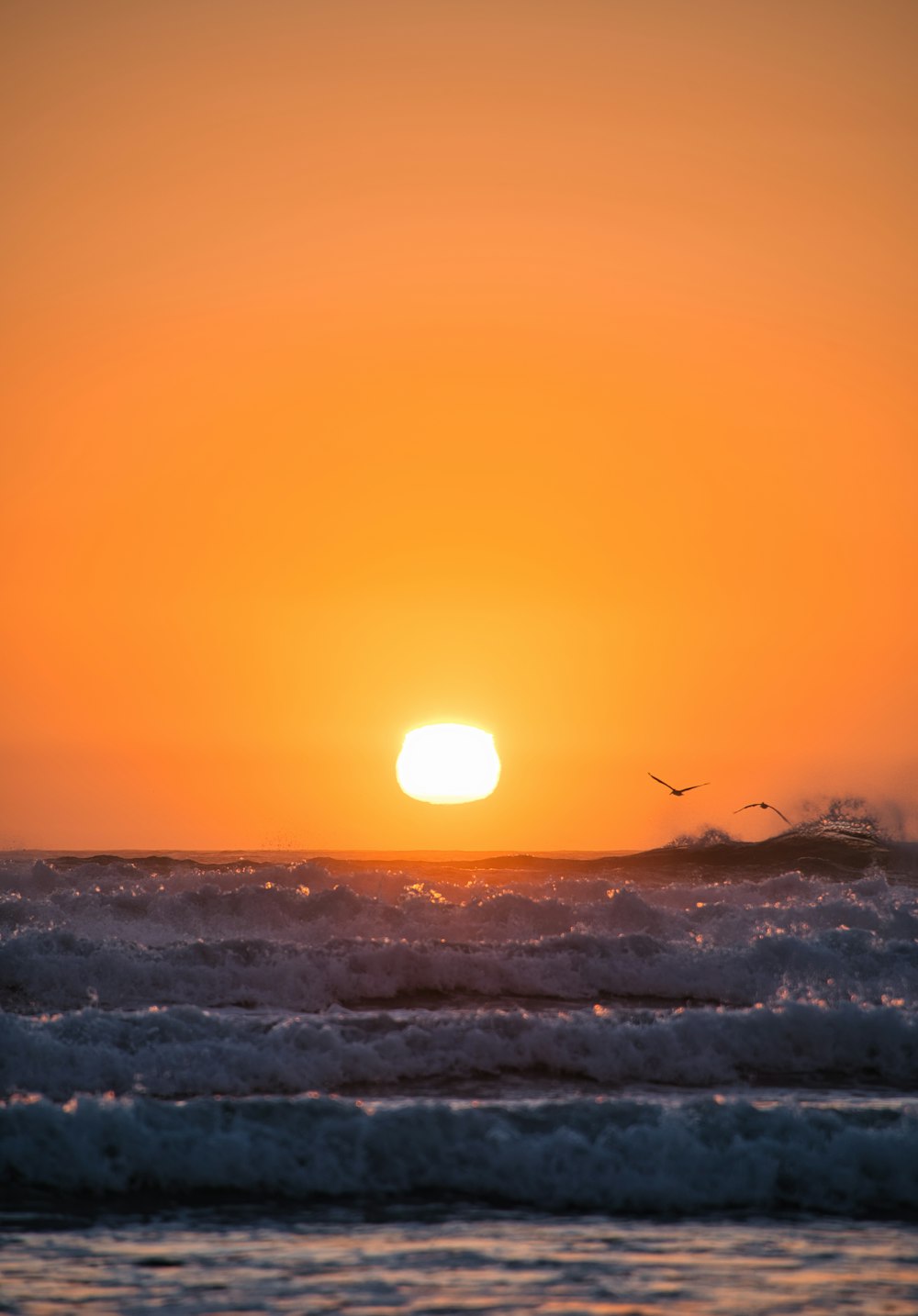 sea waves crashing on shore during sunset