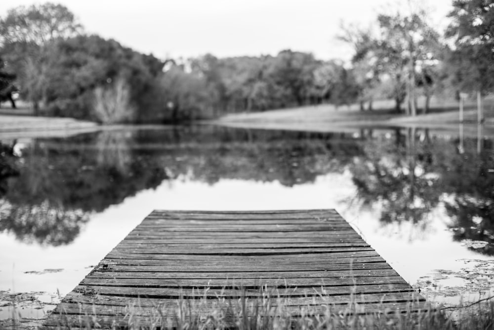 grayscale photo of wooden dock on lake