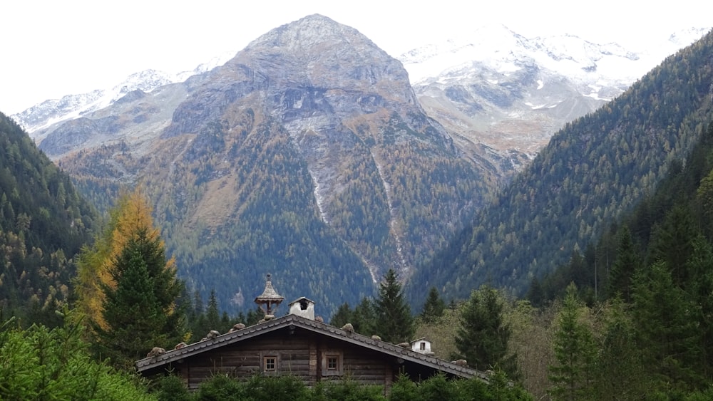 Braunes Holzhaus in der Nähe von grünen Bäumen und Bergen tagsüber