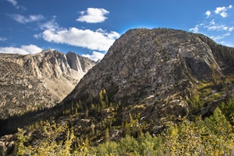 green trees on mountain under blue sky during daytime