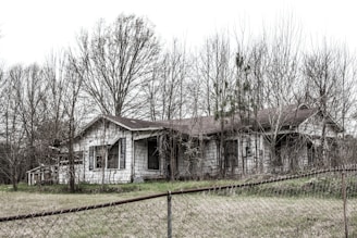 white and brown wooden house near bare trees during daytime