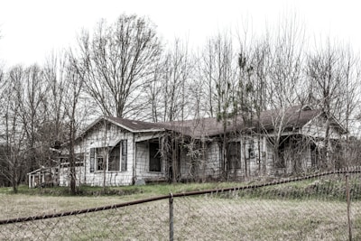 white and brown wooden house near bare trees during daytime
