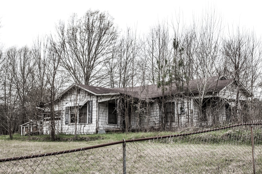 weißes und braunes Holzhaus in der Nähe von kahlen Bäumen tagsüber