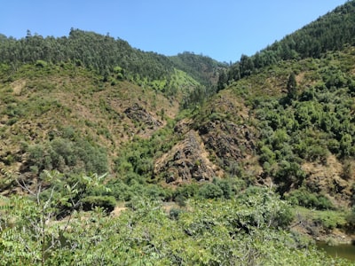 green trees on mountain under blue sky during daytime wilderness google meet background