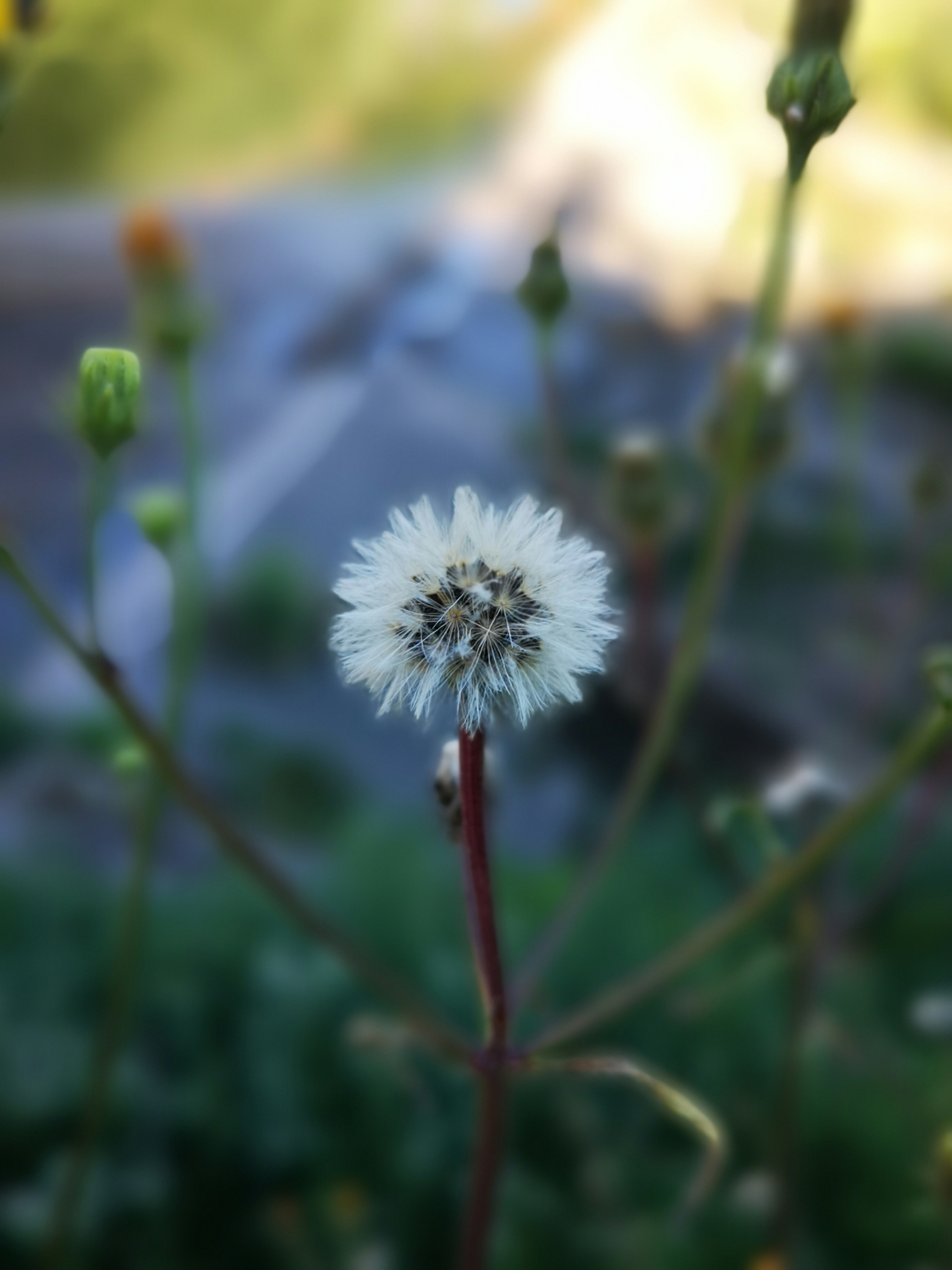 Photo by slavcho