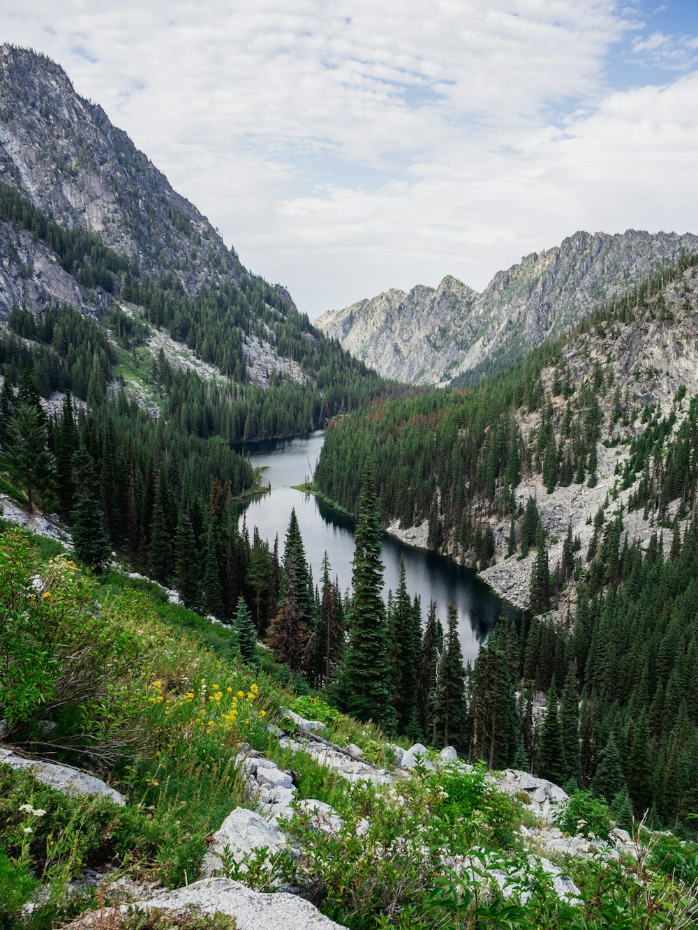 a view of a mountain lake surrounded by pine trees