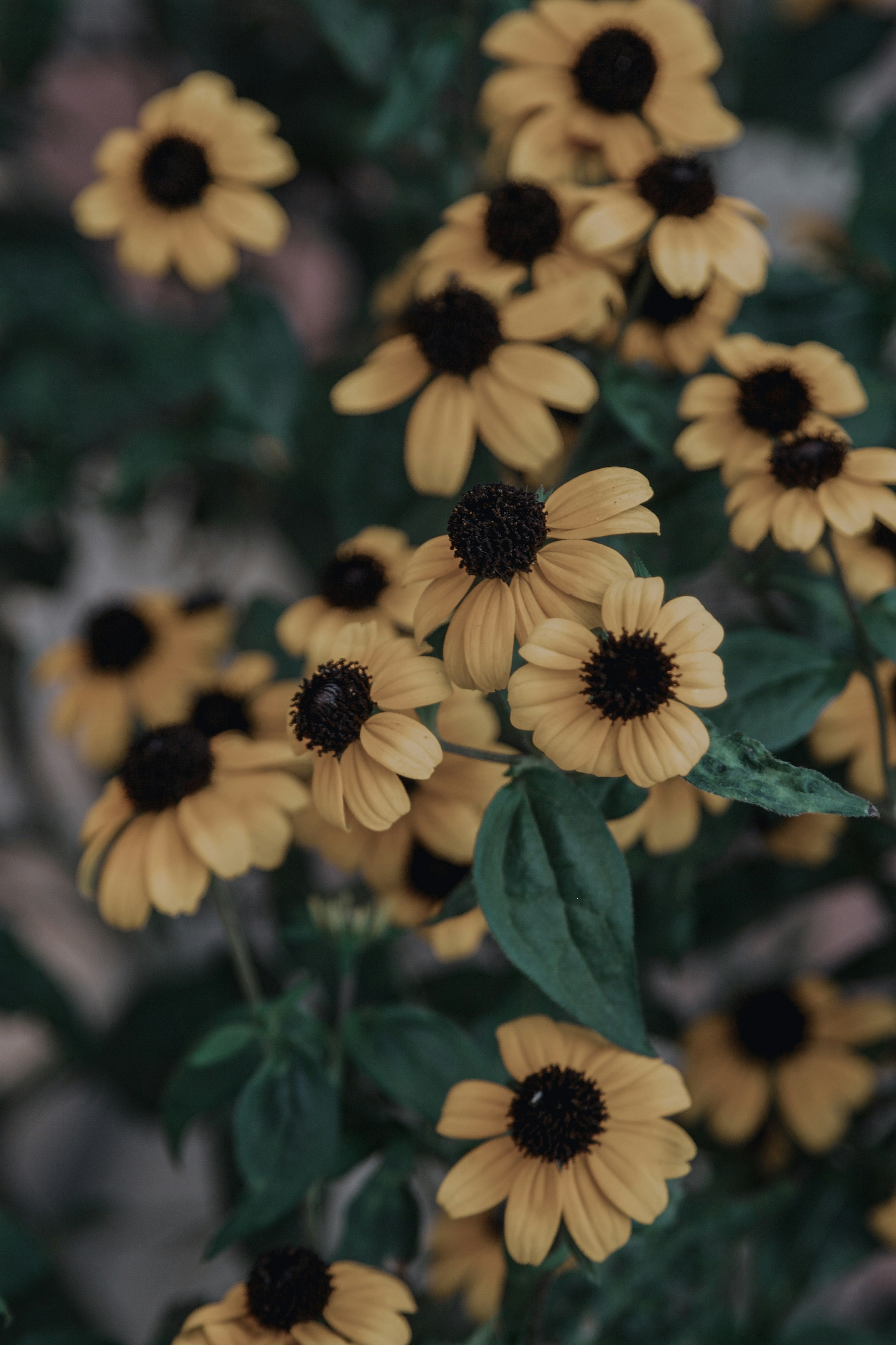 Photo by anna_tikhonova