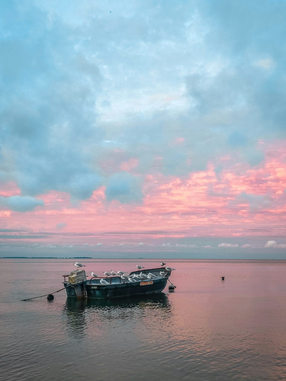 black and white boat on sea under blue sky during daytime