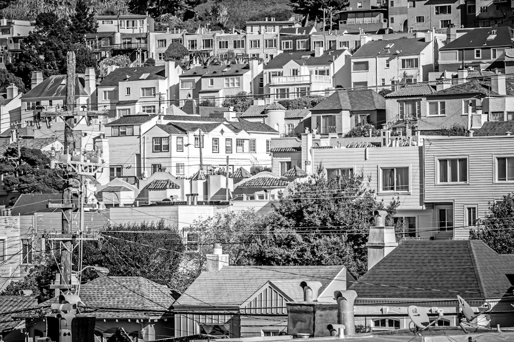 grayscale photo of houses and trees