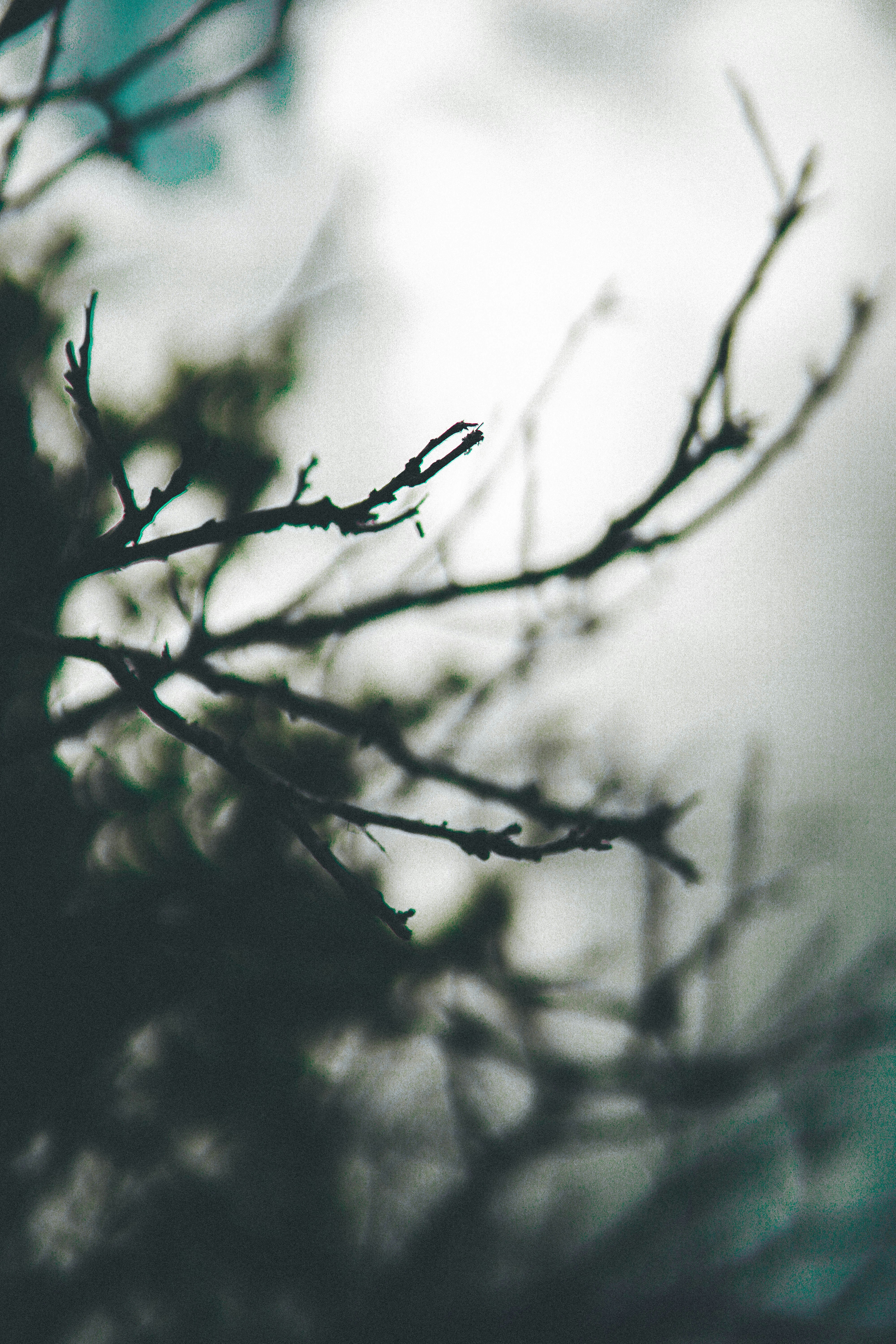 Photo by alejandromoron27