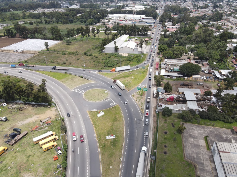 auto su strada vicino a case e alberi durante il giorno