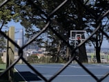 A basketball court enclosed by a wire fence is visible, with a basketball hoop on the right side. Tall trees surround the court, and a city skyline, including a prominent skyscraper, is in the background.