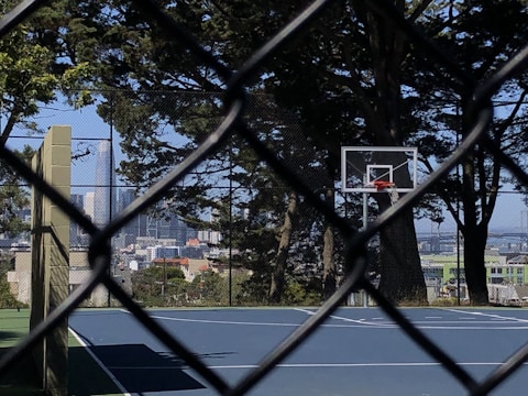 A basketball court enclosed by a wire fence is visible, with a basketball hoop on the right side. Tall trees surround the court, and a city skyline, including a prominent skyscraper, is in the background.