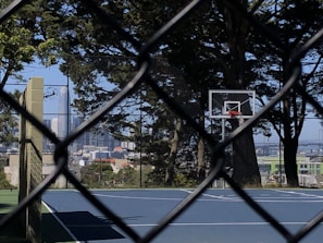 A basketball court enclosed by a wire fence is visible, with a basketball hoop on the right side. Tall trees surround the court, and a city skyline, including a prominent skyscraper, is in the background.