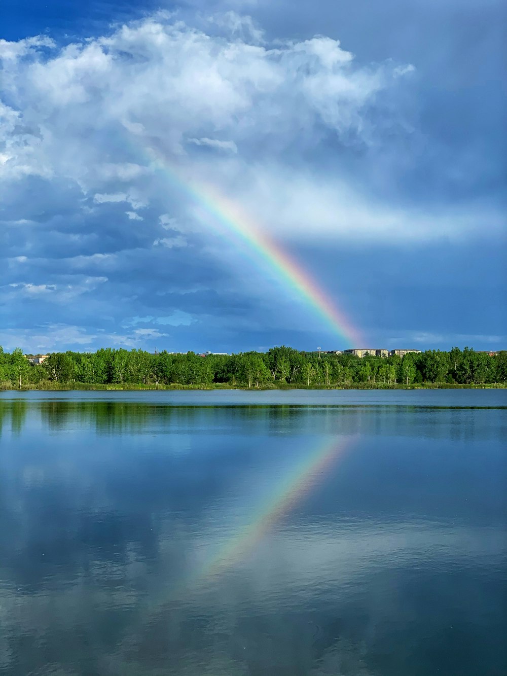 green trees beside body of water under blue sky with white clouds during daytime