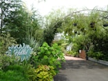 The library entrance with a welcoming sign and greenery around.