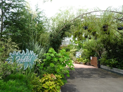 A welcoming contact form with greenery in the background.
