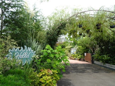 The library entrance with a welcoming sign and greenery around.