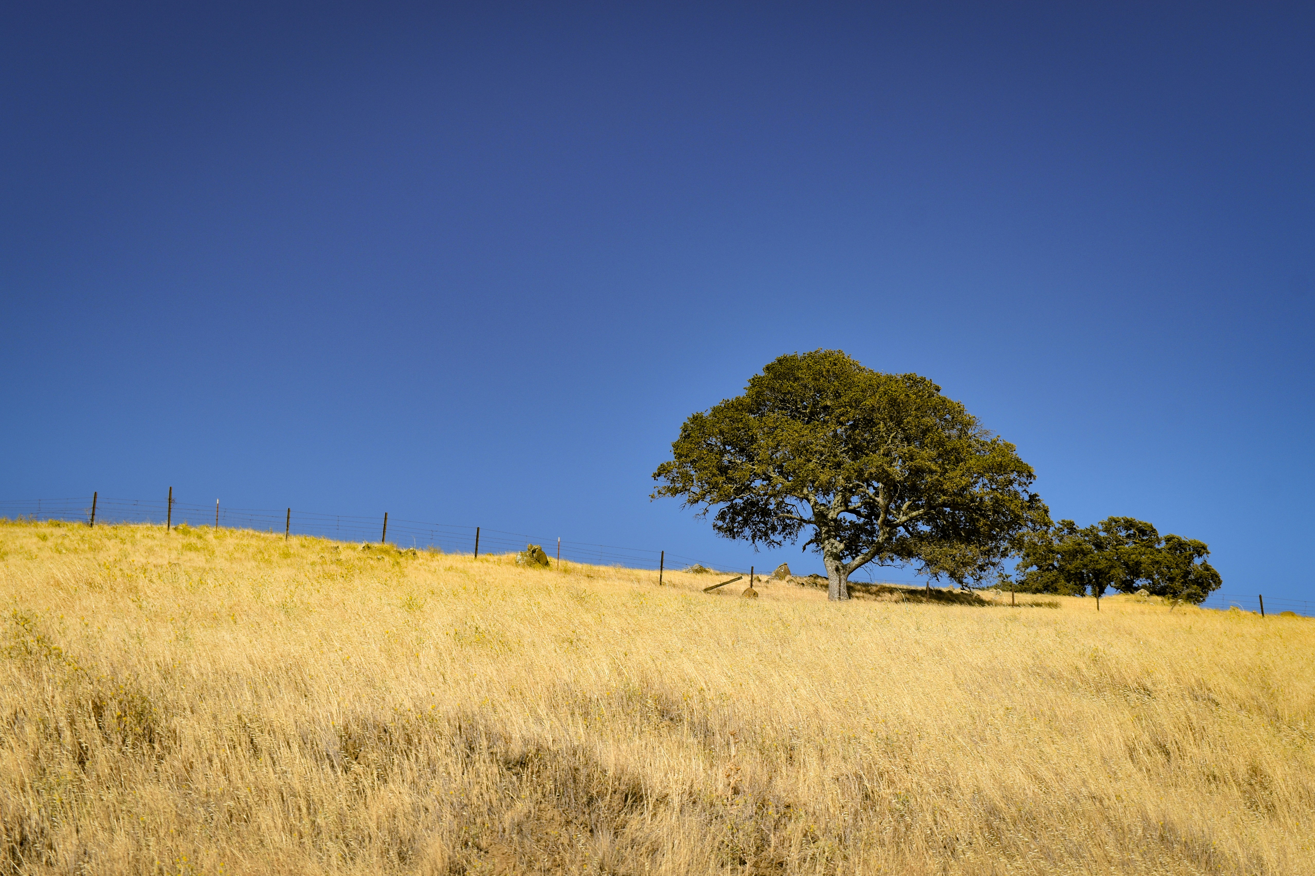 Photo by elisastonephotography