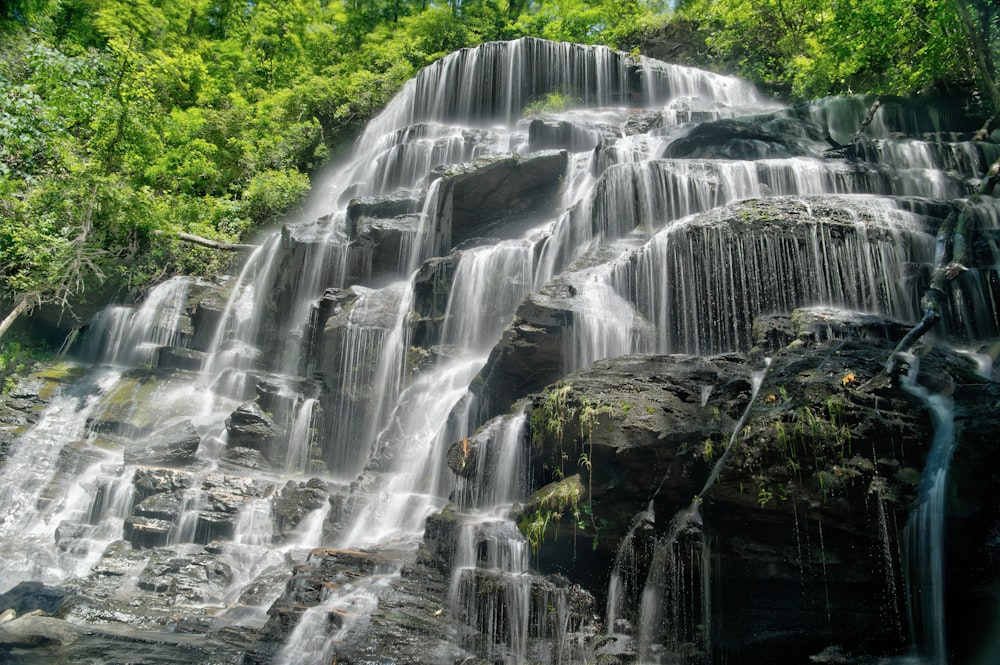 waterfalls in the middle of the forest