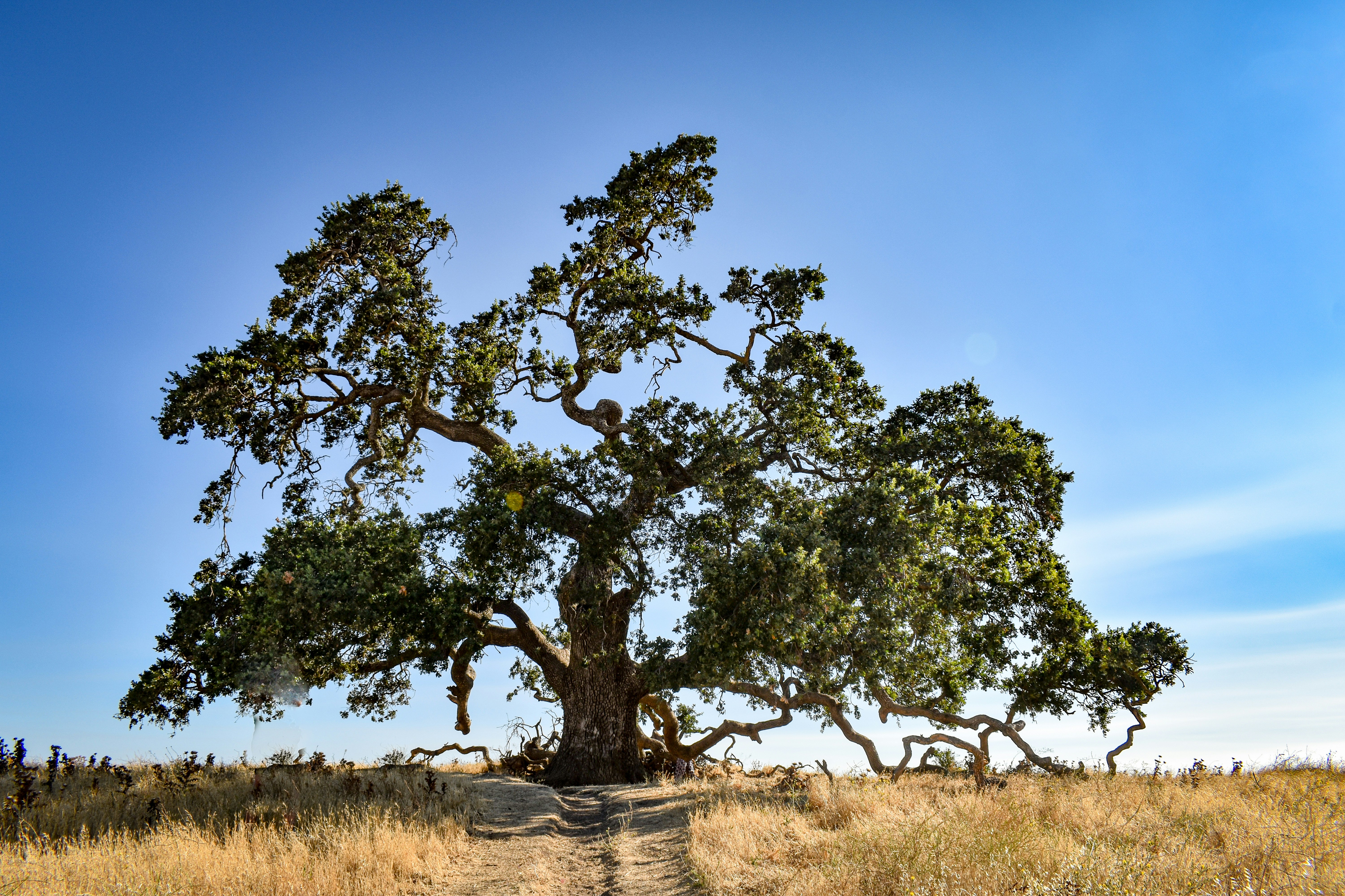 Photo by elisastonephotography