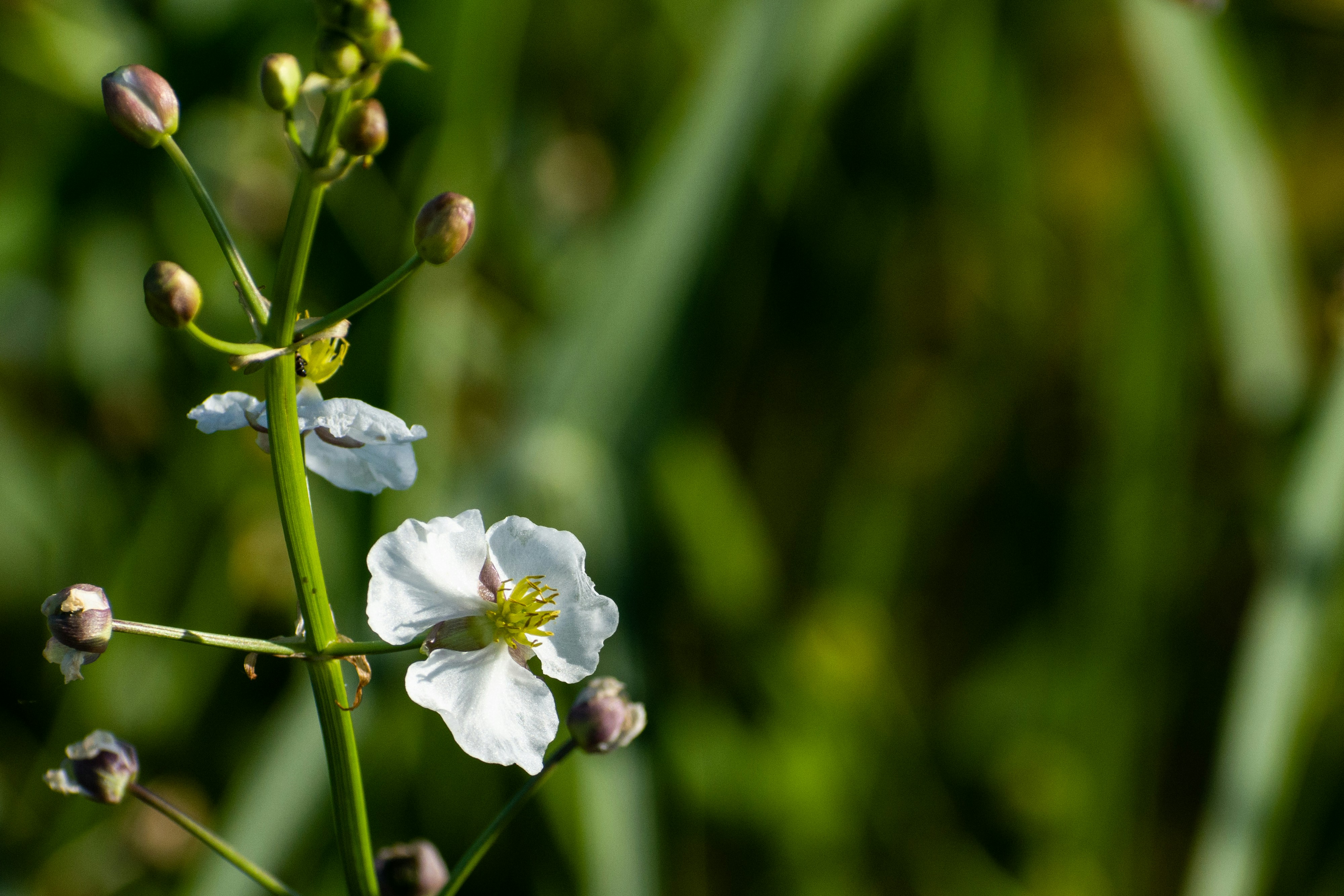 Photo by elisastonephotography