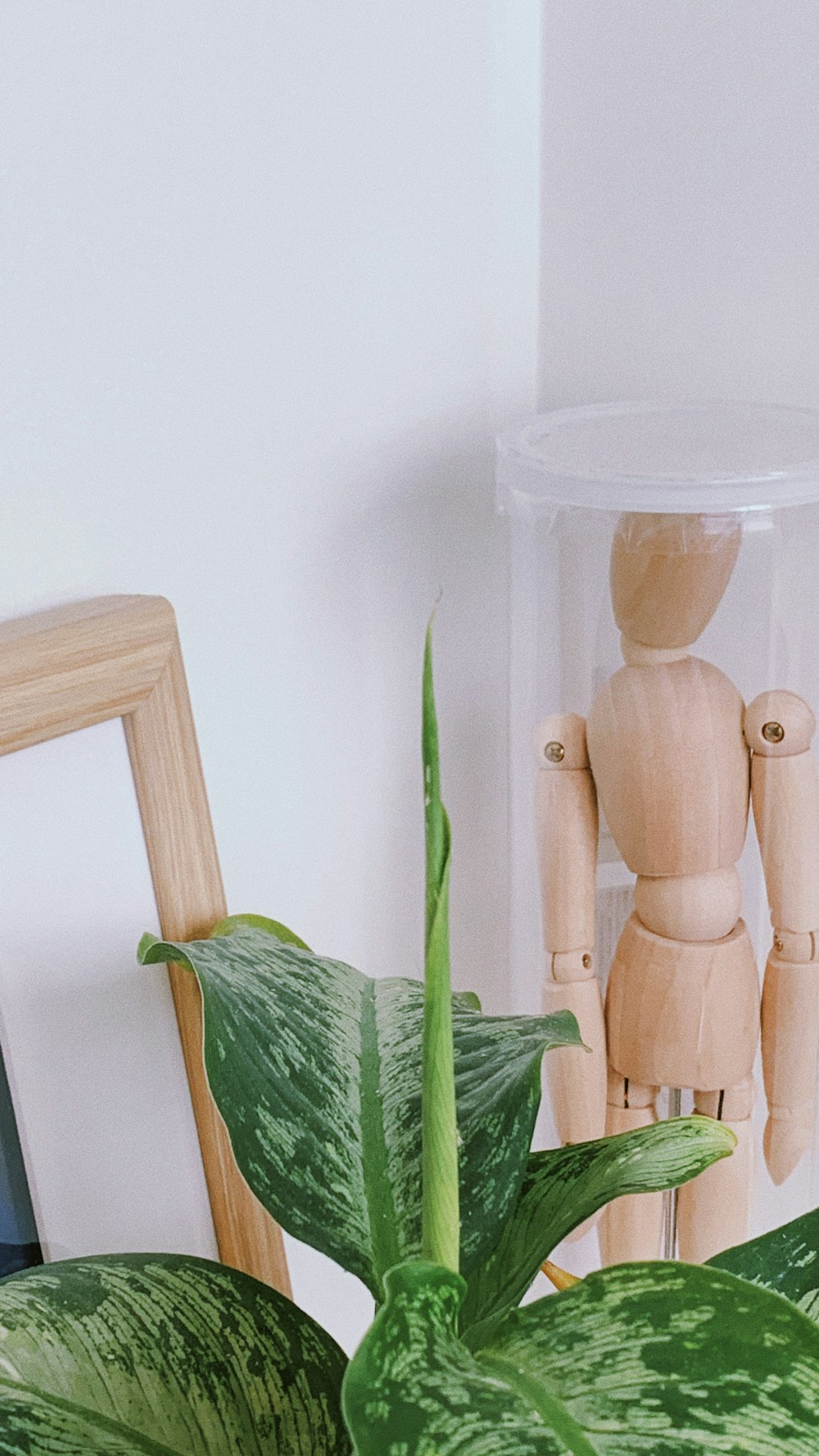 green plant on white ceramic vase