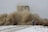 A large cloud of dust billows from a collapsing structure while two people wearing protective gear appear to be moving away from the scene. The ground is covered with snow, and debris is scattered around.