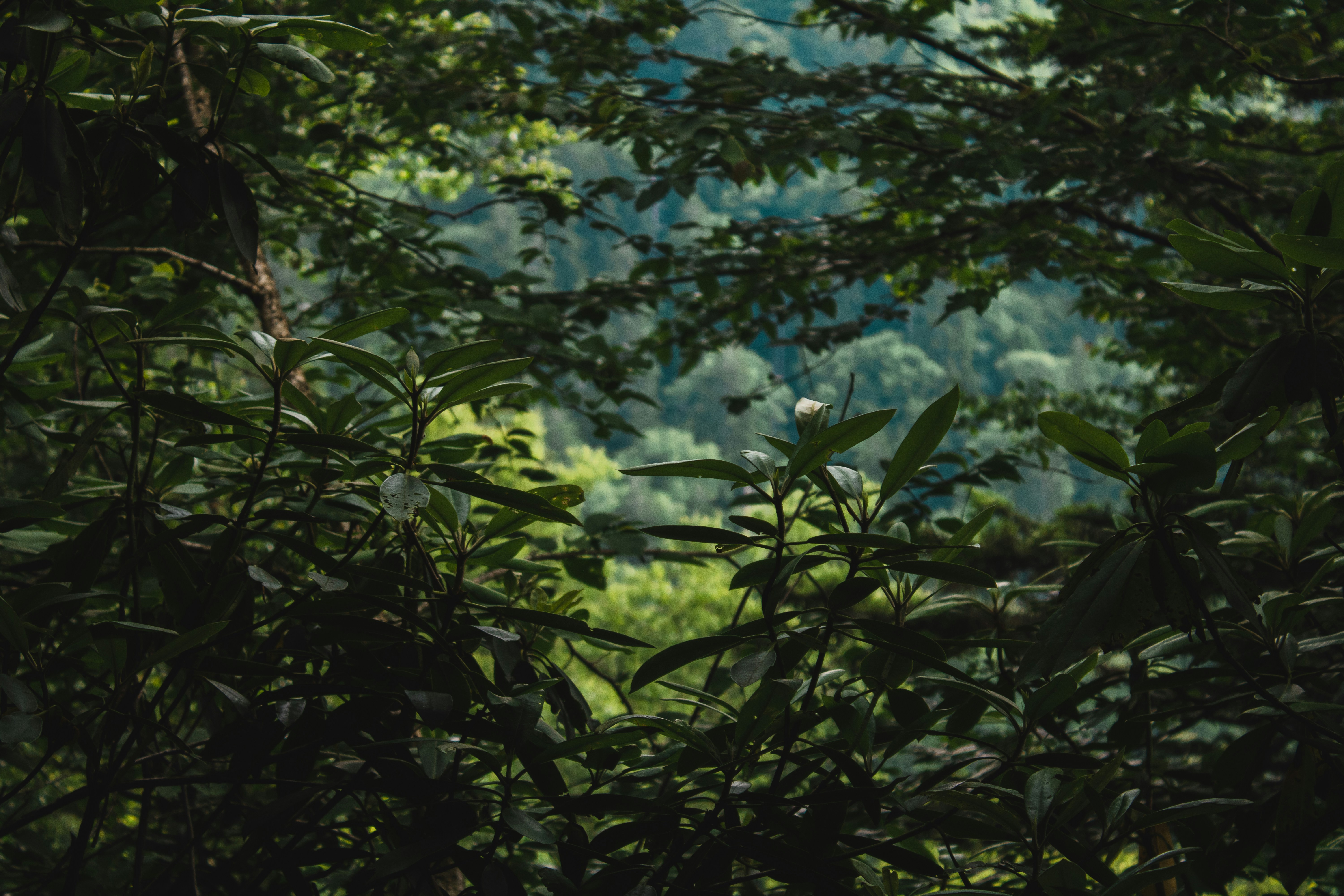 Photo by mauro_bueso