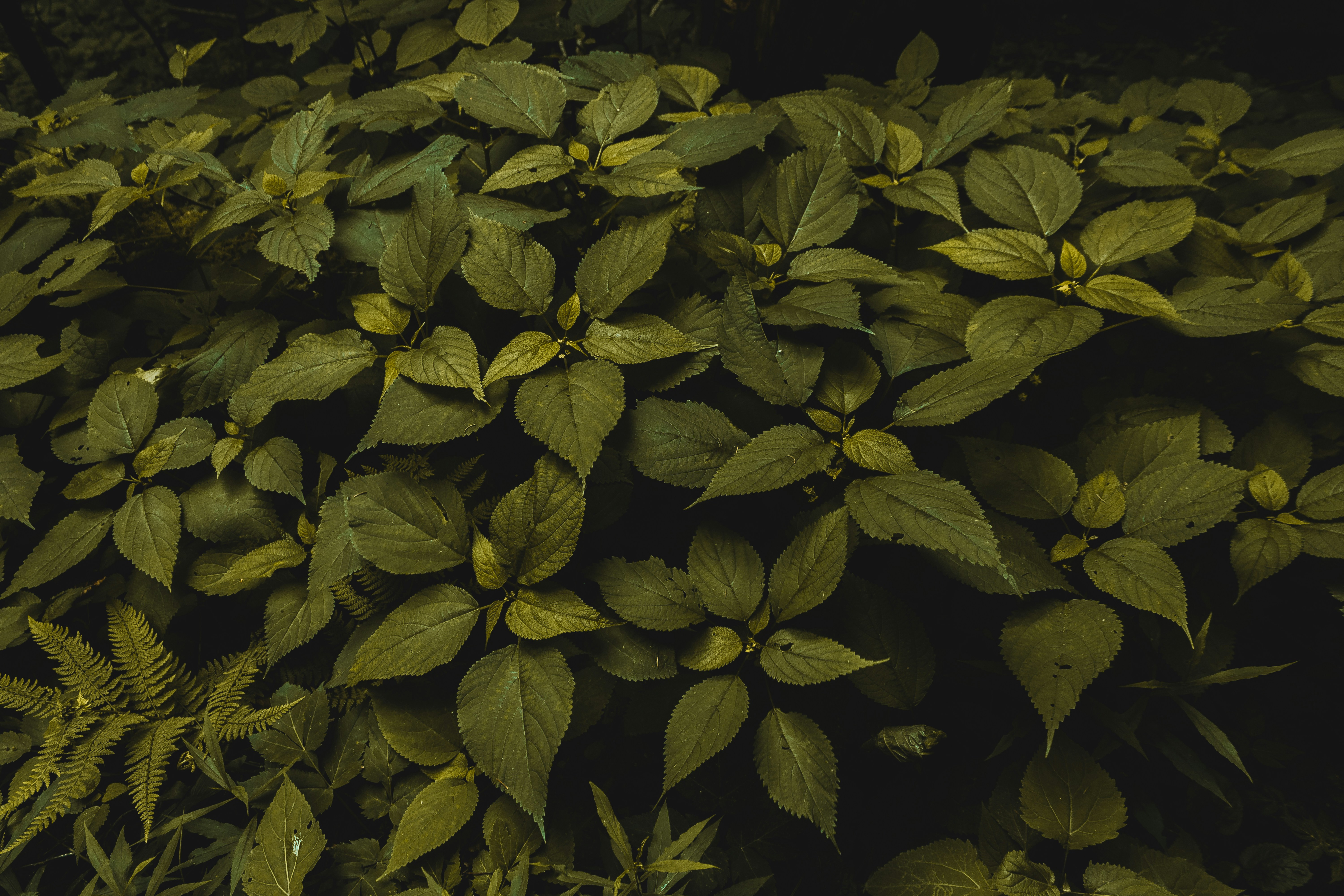 Photo by mauro_bueso