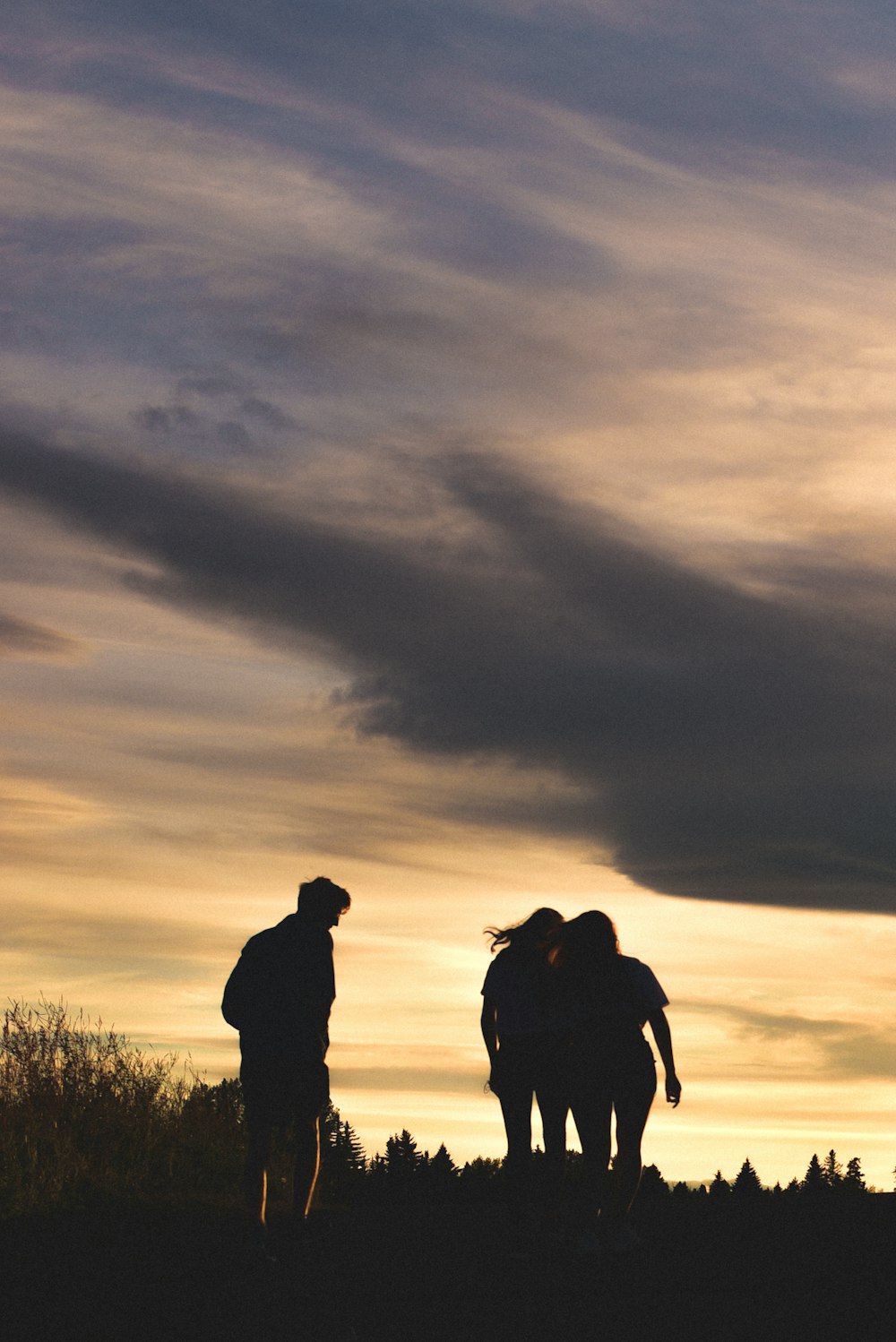 silhouette of 2 person standing on grass field during sunset