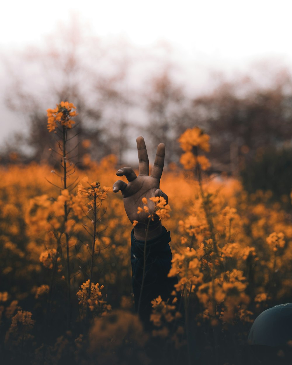 brown angel figurine on yellow flower field during daytime