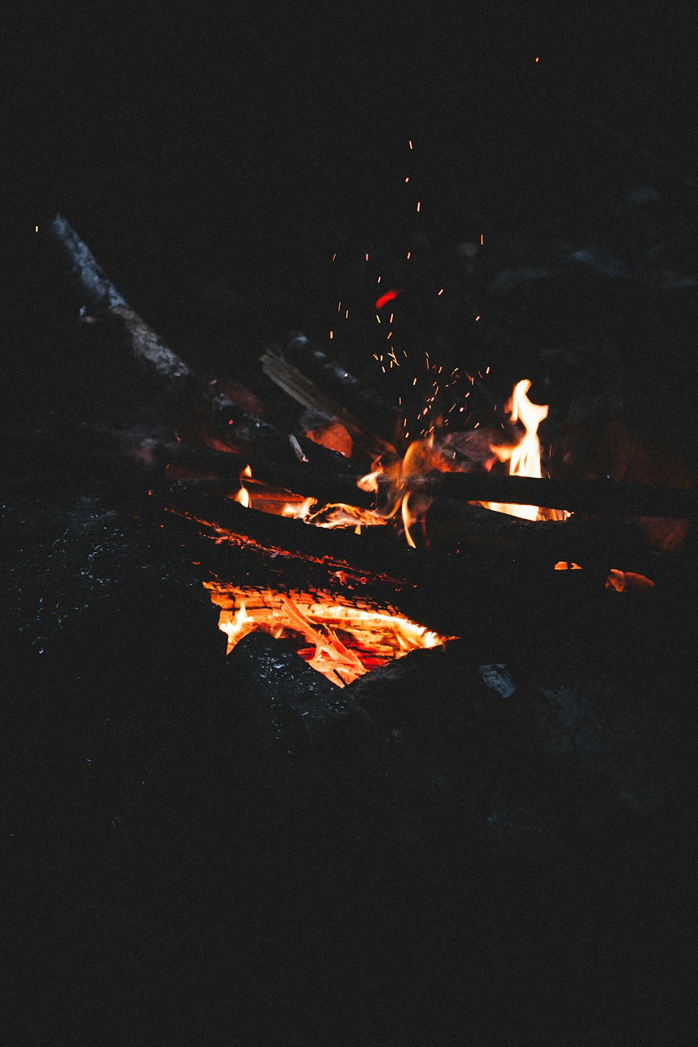 burning woods during night time