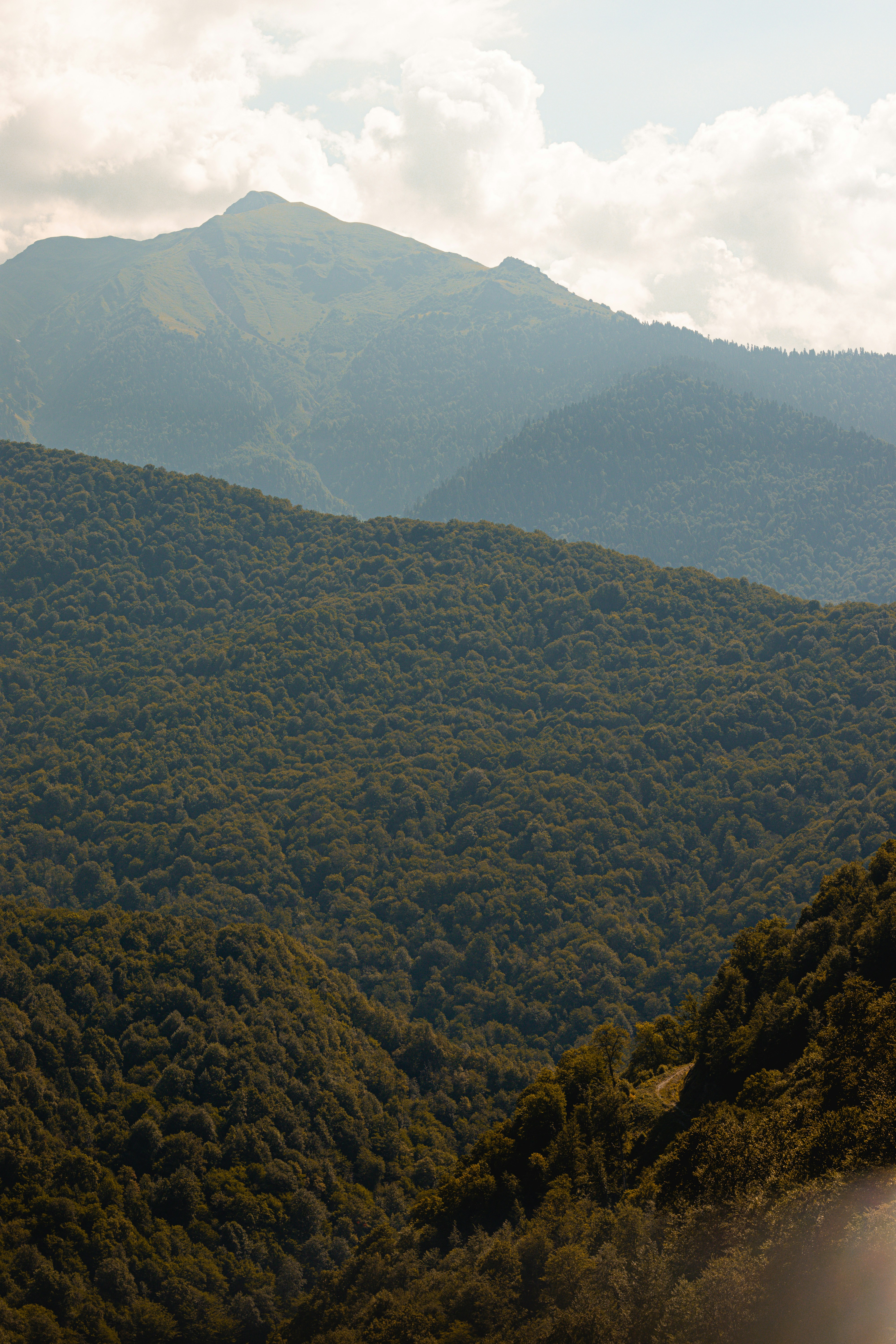 Photo by spiridonovaph