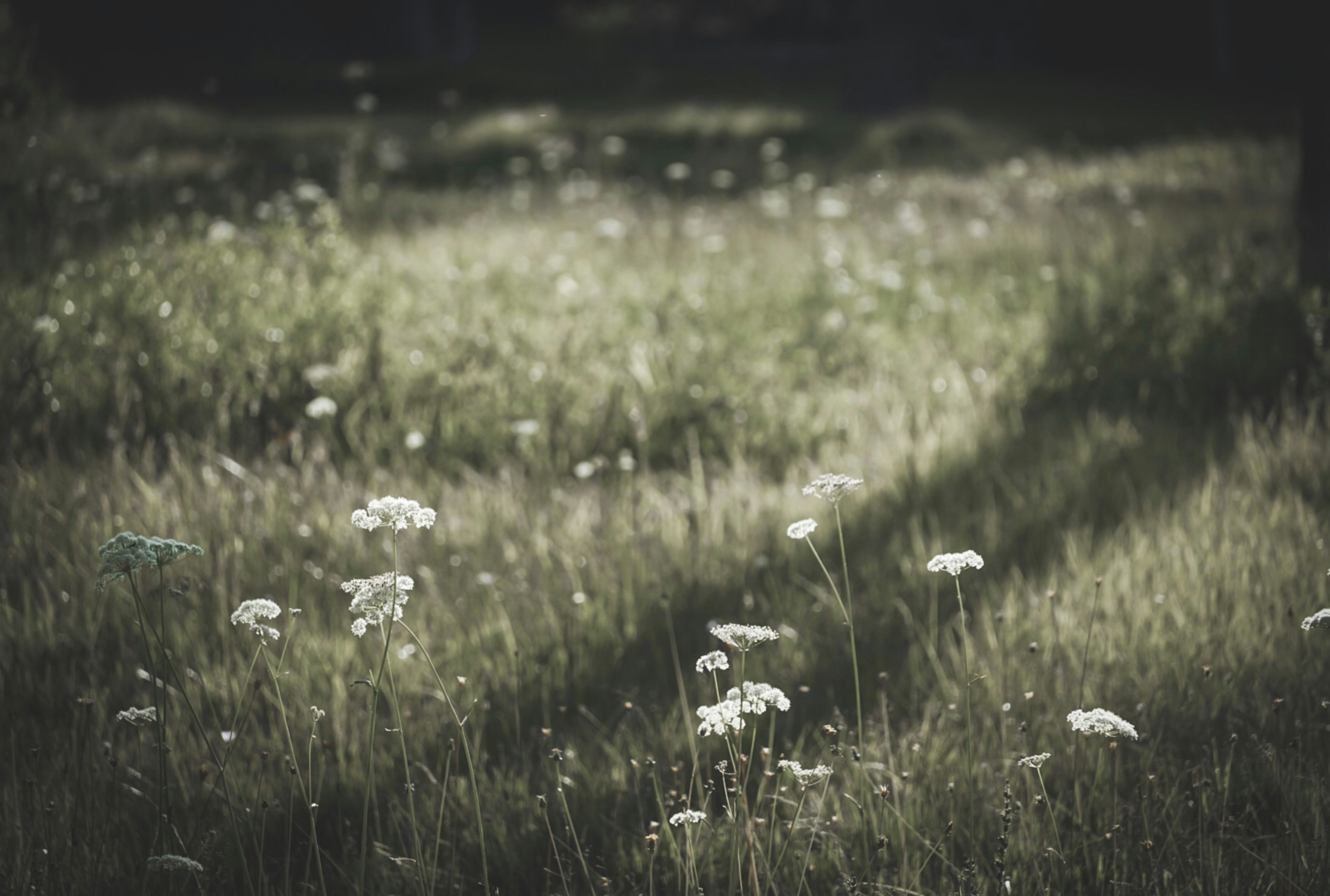 Photo by thalia_s_ruiz