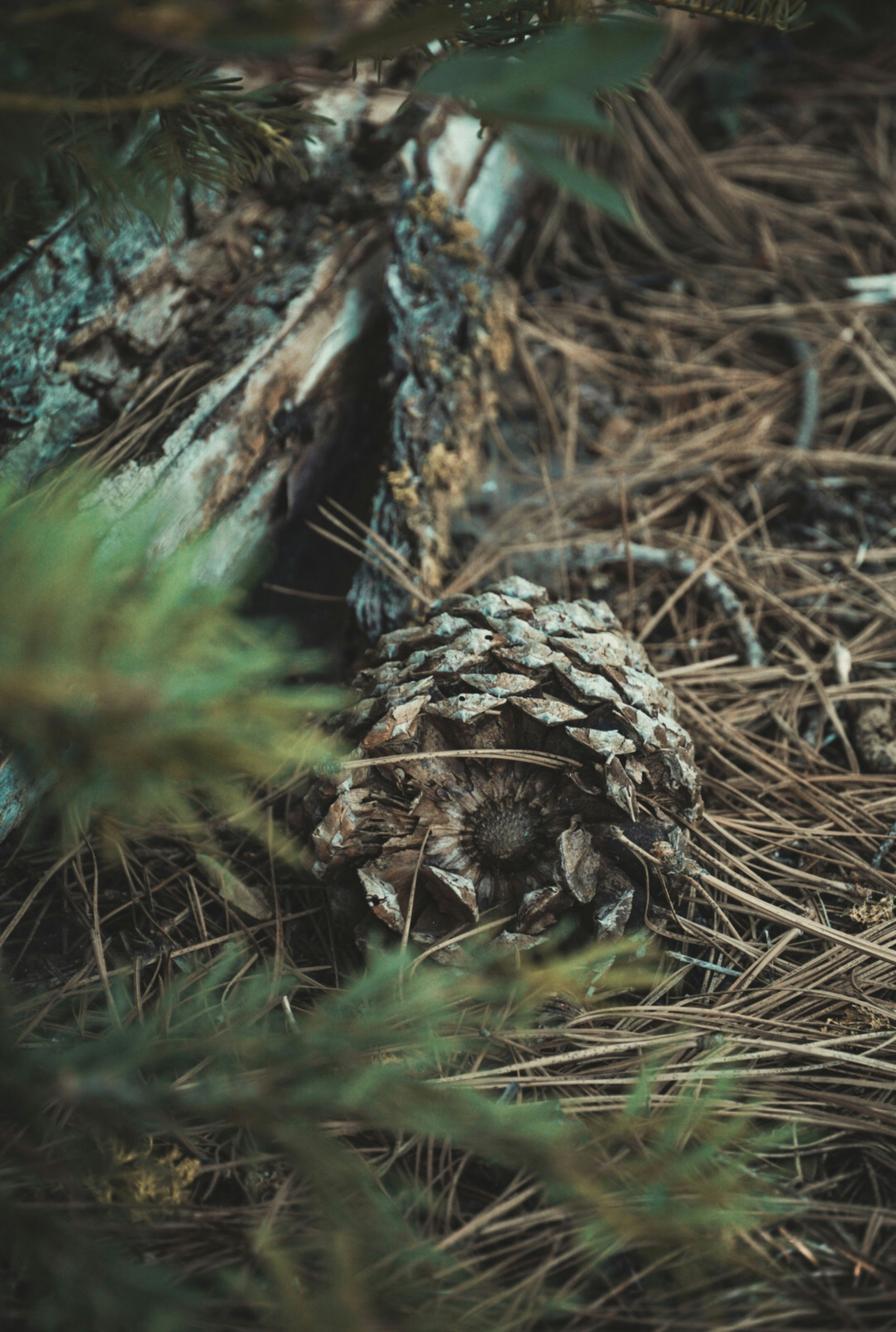 Photo by thalia_s_ruiz