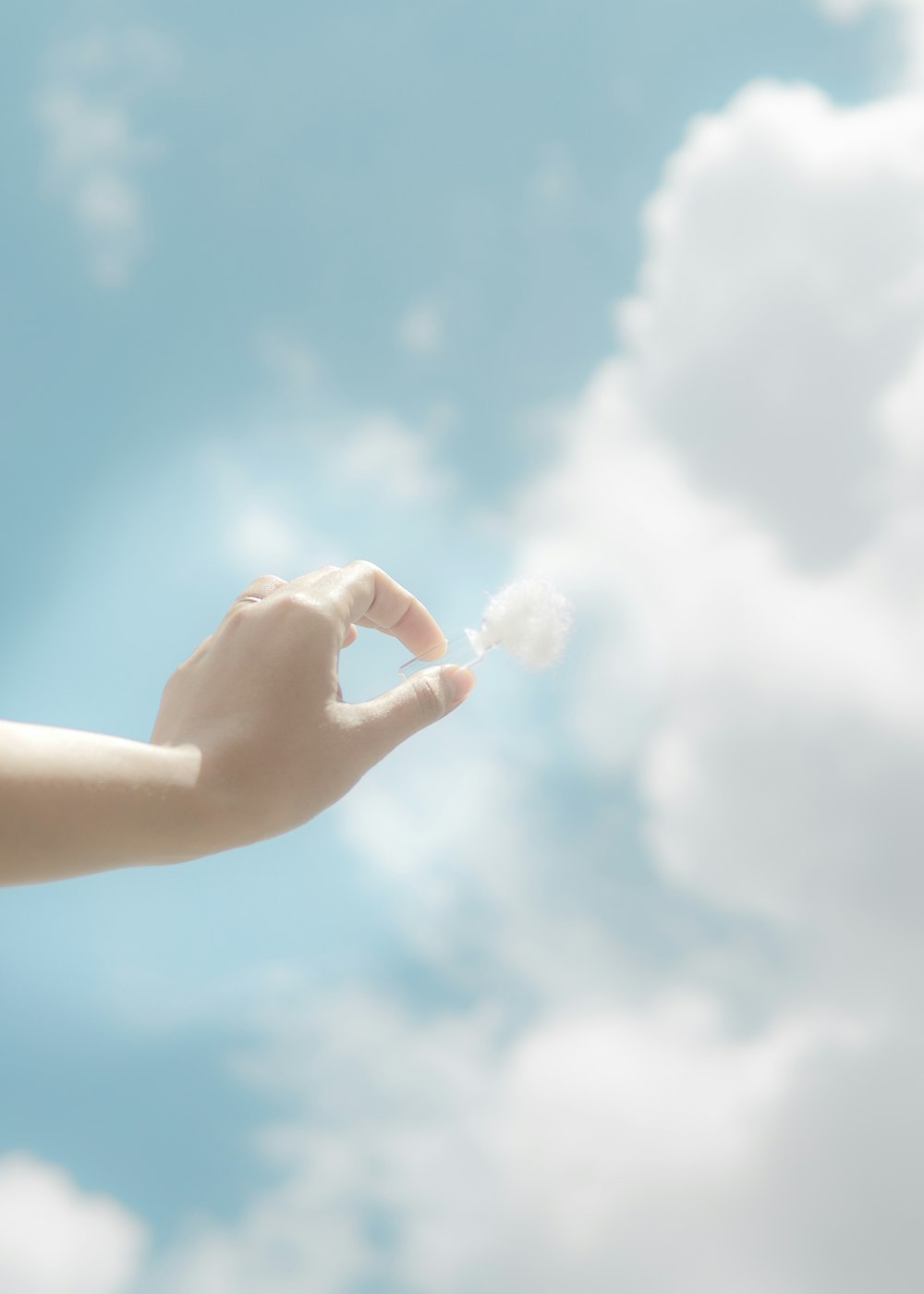 person holding white cotton candy