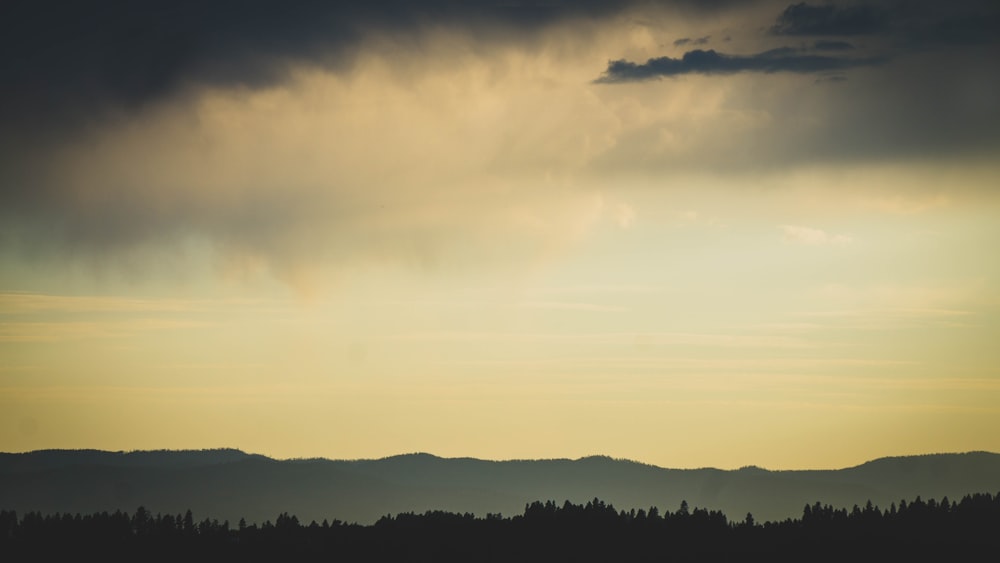 silhouette of trees under cloudy sky during daytime