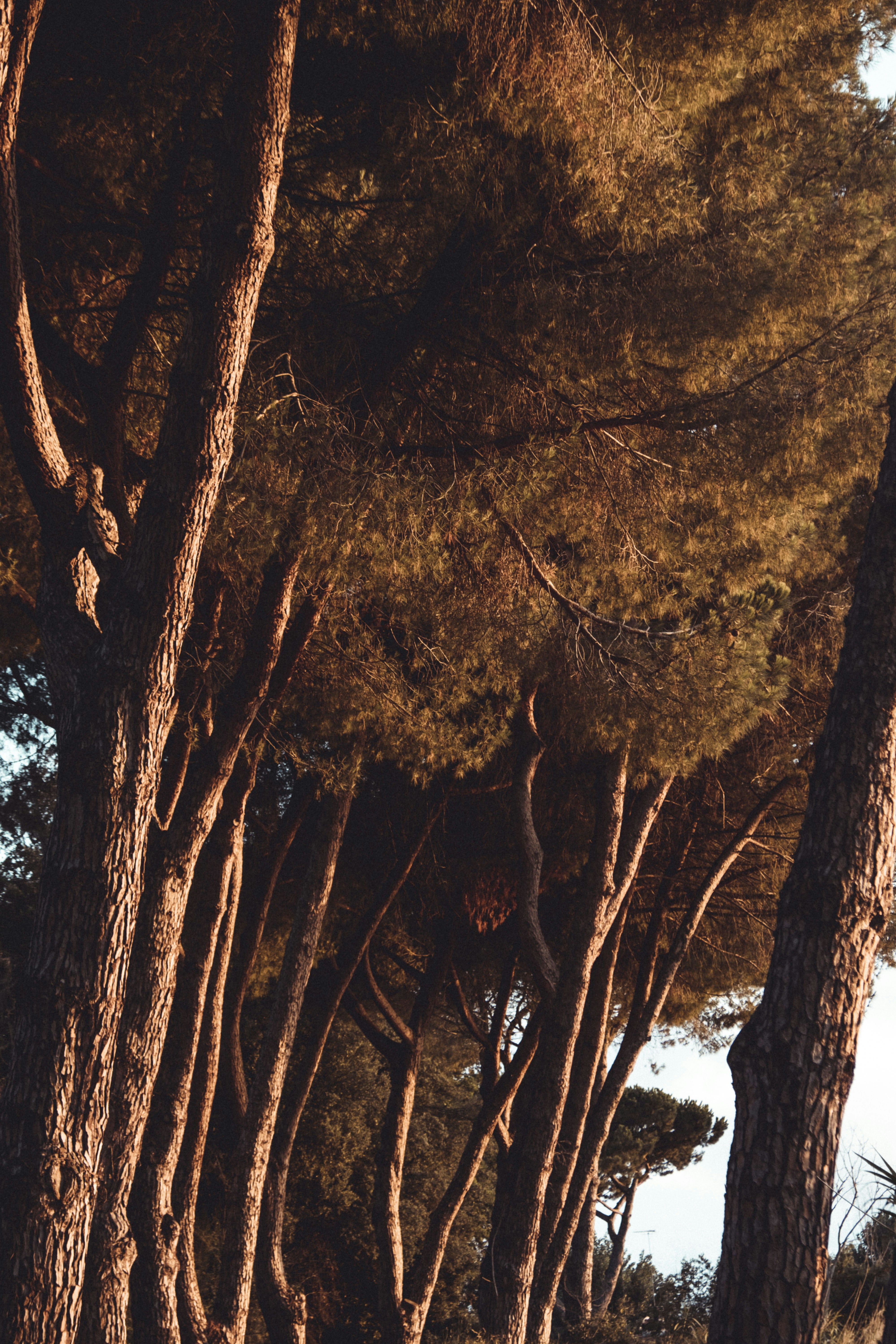 Photo by moritz_photography