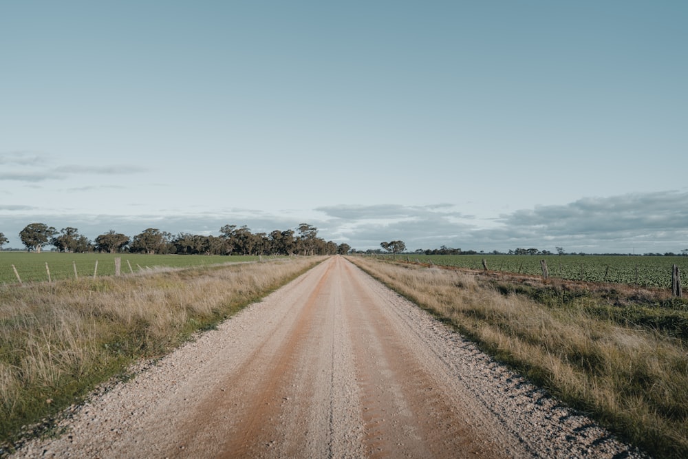 brown dirt road between green grass field under blue sky during daytime